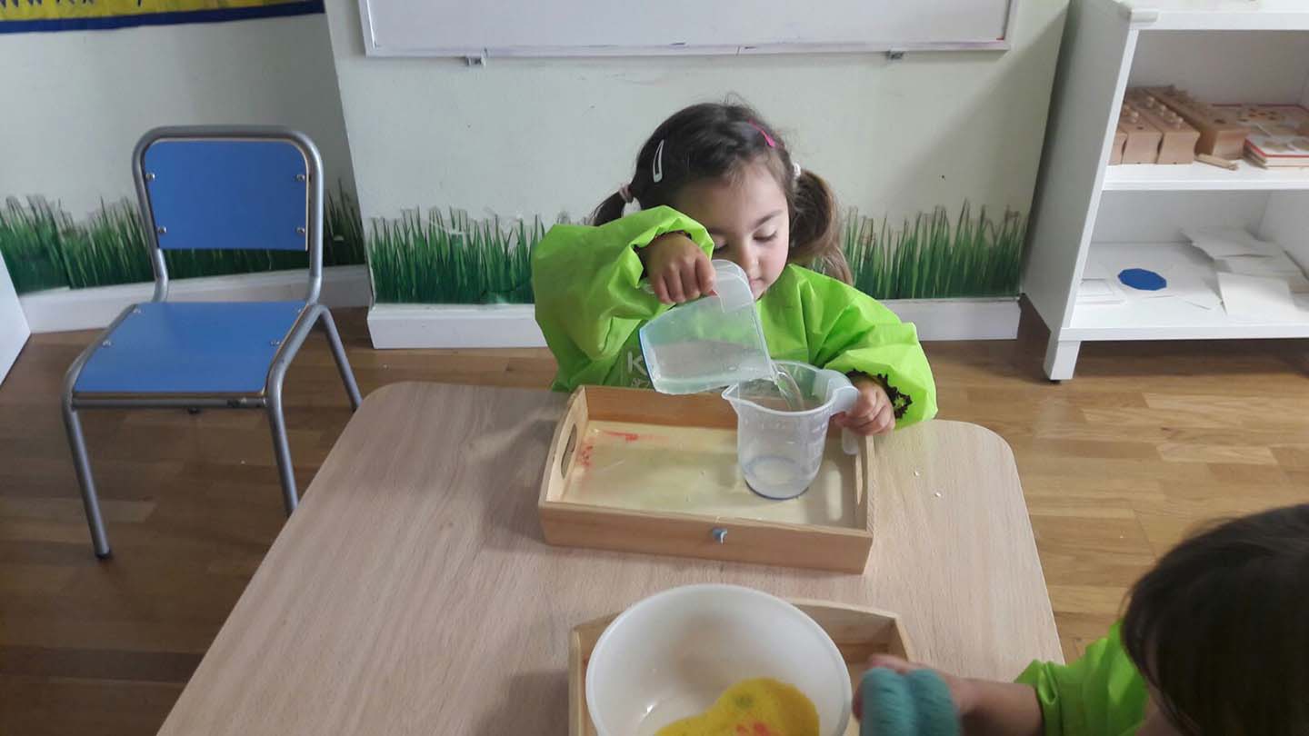 Montessori activity ( pouring - spooning usando esponjas)